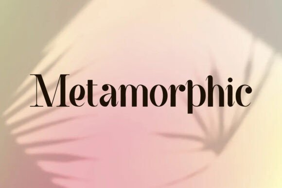 Metamorphic: A Modern Sans Serif That Transforms Branding